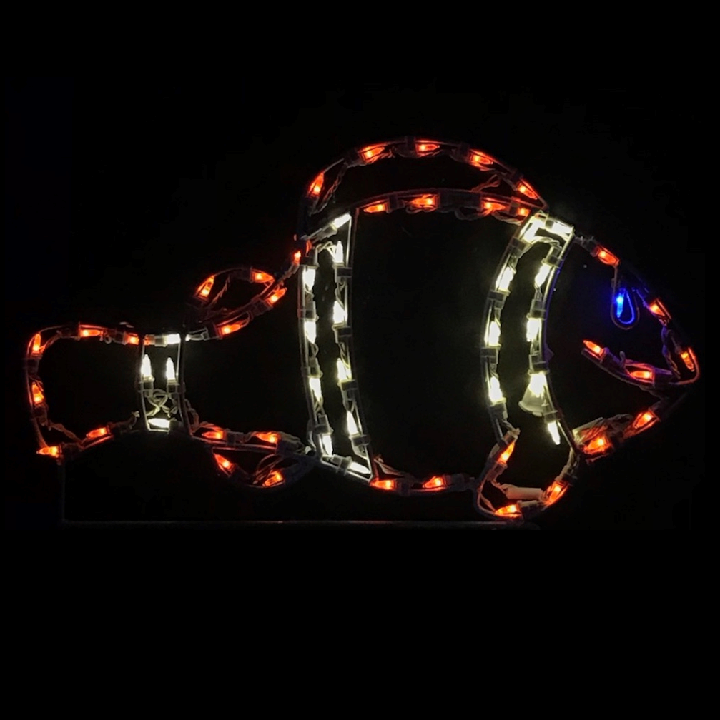 Christmastopia.com Clown Fish LED Lighted Outdoor Nautical Decoration