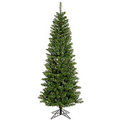 6.5 Foot Salem Pencil Pine Artificial Christmas Tree 250 DuraLit Incandescent Multi Color Mini Lights