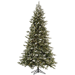 6.5 Foot Frosted Balsam Fir Artificial Christmas Tree 450 DuraLit Clear Lights
