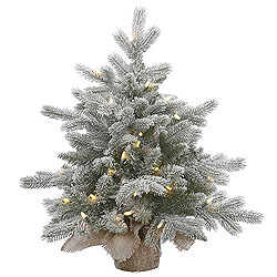 Christmastopia.com - 24 Inch Frosted Sable Artificial Christmas Tree 50 DuraLit Clear Lights