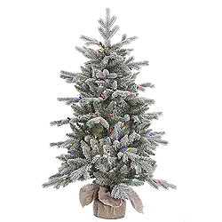 4 Foot Frosted Sable Pine Artificial Christmas Tree 100 LED M5 Italian Multi Color Mini Lights