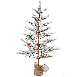 Christmastopia.com - 5 Foot Flocked Desert Pine Artificial Christmas Tree Unlit