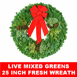 Live Mixed Greens Fresh Christmas Wreath