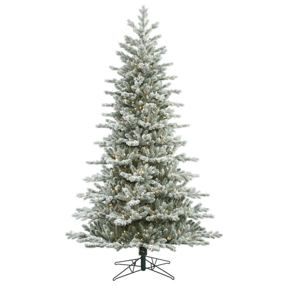 7.5 Foot Frosted Eastern Frasier Fir Artificial Christmas Tree 700 DuraLit Incandescent Clear Mini Lights