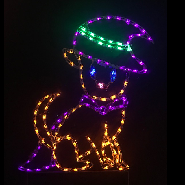 Halloween Dog with Witch Hat and Cape LED Lighted Outdoor Halloween Decoration