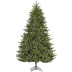 12 Foot Berkshire Fir Artificial Christmas Tree 2150 LED M5 Italian Multi Color Mini Lights