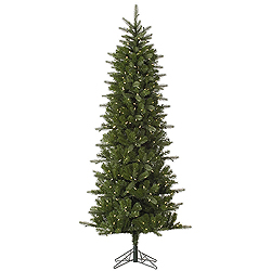 12 Foot Carolina Pencil Spruce Artificial Christmas Tree - 800 DuraLit LED Warm White Italian Mini Lights