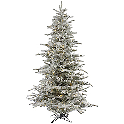 12 Foot Flocked Sierra Artificial Christmas Tree 1850 LED Warm White Lights