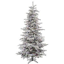 6.5 Foot Flocked Slim Sierra Artificial Christmas Tree 550 LED Multi Lights
