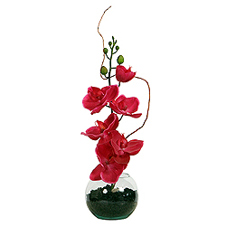 18 Inch Hot Pink Orchid In Glass Bowl With Dirt