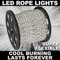 150 Foot Clear LED Rope Lights