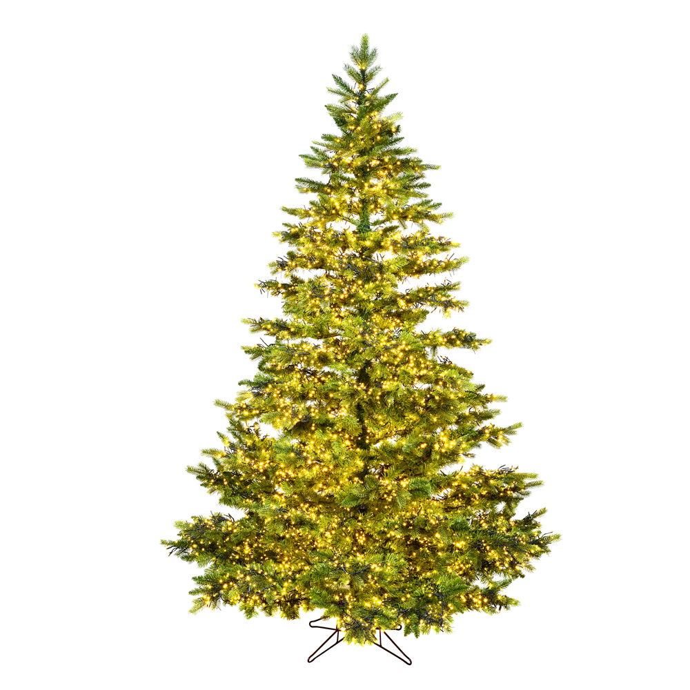 Christmastopia.com 12 Foot Takoma Frasier Artificial Christmas Tree 2000 DuraLit Incandescent Clear Mini Lights