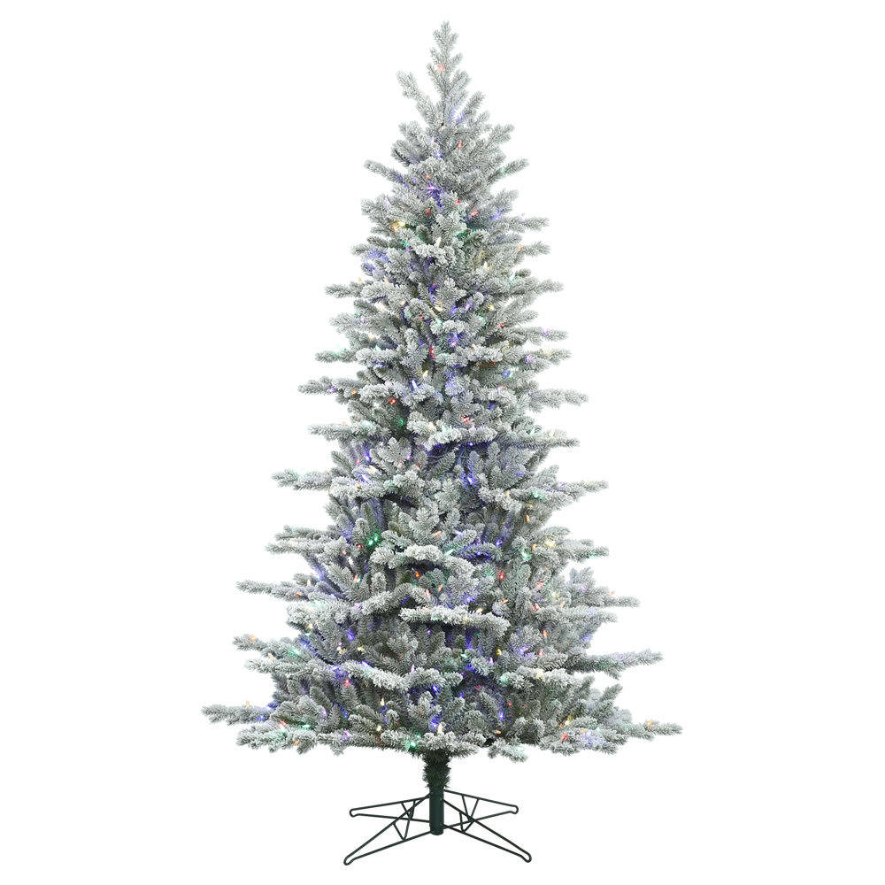 10 Foot Frosted Eastern Frasier Fir Artificial Christmas Tree 1050 DuraLit LED Multi 6 color Italian Mini Lights