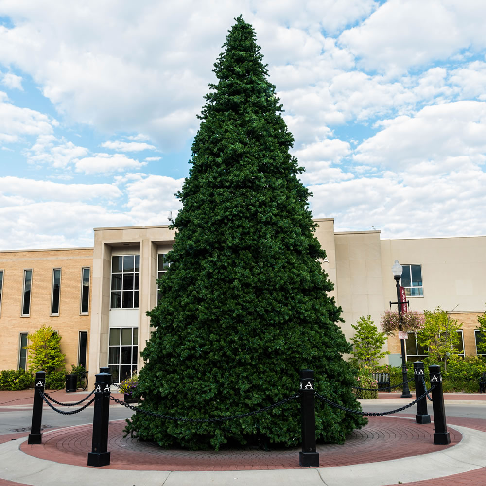 12 Foot Grand Teton Frame Artificial Christmas Tree Unlit