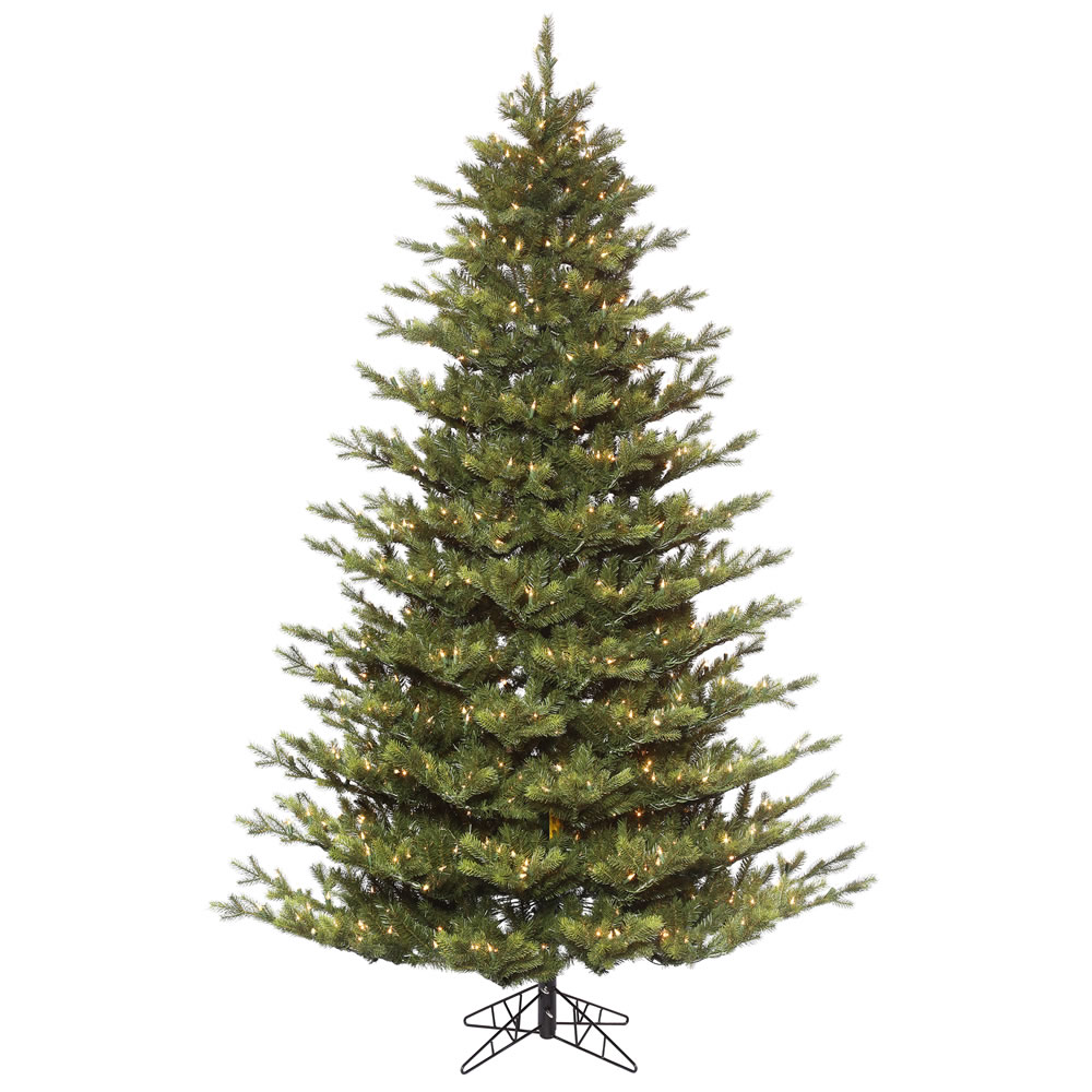 6.5 Foot Oak Frasier Fir Artificial Christmas Tree 600 DuraLit Incandescent Clear Mini Lights