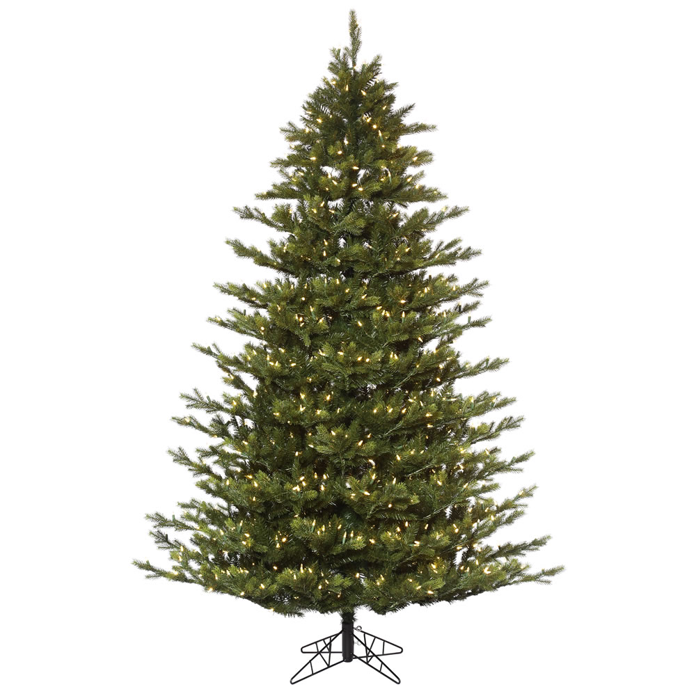 6.5 Foot Oak Frasier Fir Artificial Christmas Tree 600 DuraLit LED M5 Italian Warm White Mini Lights