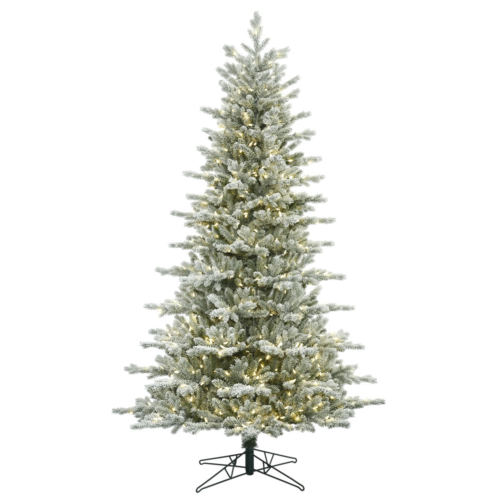 7.5 Foot Frosted Eastern Frasier Fir Artificial Christmas Tree 700 DuraLit LED M5 Italian Warm White Mini Lights