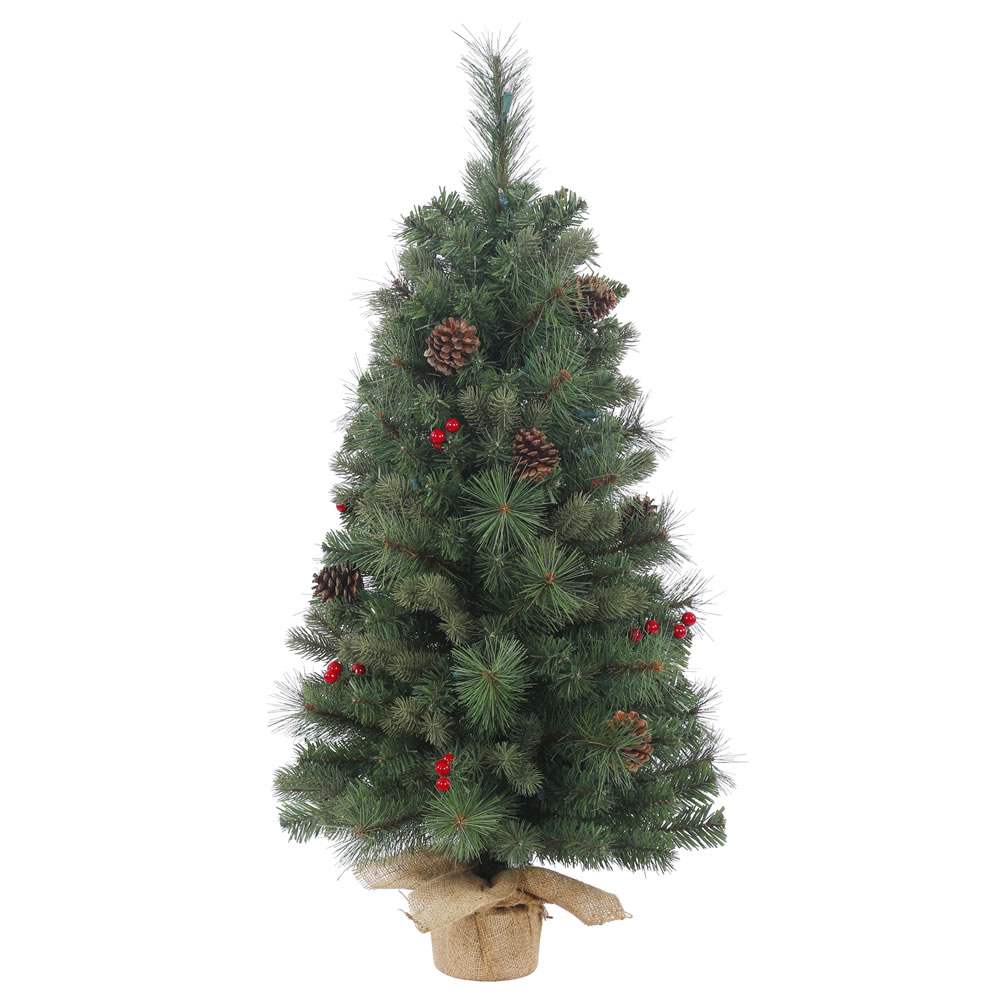 Fraser Hill Farm 9 ft. Unlit Flocked Mountain Pine ...