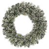 24 Inch Frosted Cashmere Wreath