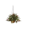 30 Inch Mixed Pine Hanging Basket