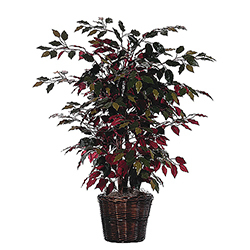 Artificial Plants And Flowers
