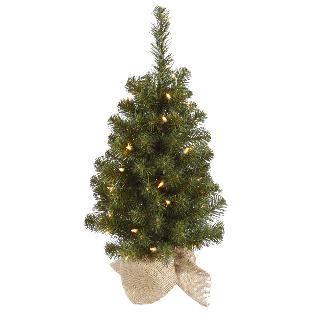 2 Foot Felton Pine Artificial Christmas Tree - 35 Incandescent Clear Mini Lights