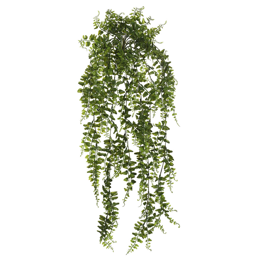 30 Inch Artificial Green Bucler Fern Vine Plant