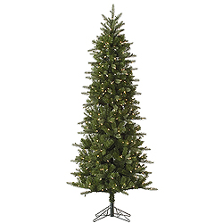 12 Foot Carolina Pencil Spruce Artificial Christmas Tree - 800 DuraLit Incandescent Clear Mini Lights