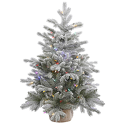 Christmastopia.com 36 Inch Frosted Sable Pine Artificial Christmas Tree 100 DuraLit LED M5 Italian Multi Color Mini Lights