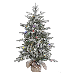 Christmastopia.com - 4 Foot Frosted Sable Pine Artificial Christmas Tree 100 LED M5 Italian Multi Color Mini Lights