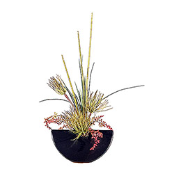 Tilandsia With reeds And Derrys Gunmetal Gray Ceramic Container