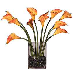 Natural Looking Dozen Peach Callas Glass Vase