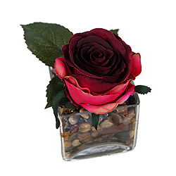 Red Rose Artificial Plant Glass Square Vase
