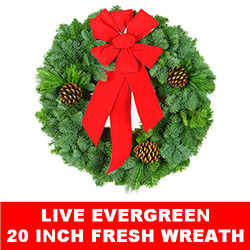 Christmastopia.com Live Evergreen Fresh Christmas Wreath