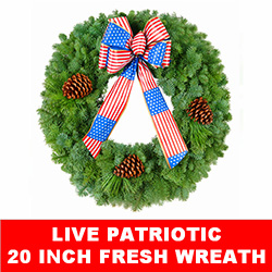 20 Inch Live Patriotic Wreath - Fresh Wreath