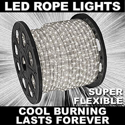 30 Foot Clear LED Rope Lights