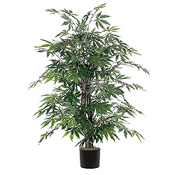 Christmastopia.com 4 Foot Japanese Maple Bush