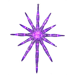 17 Inch Starburst 35 LED Purple Lights