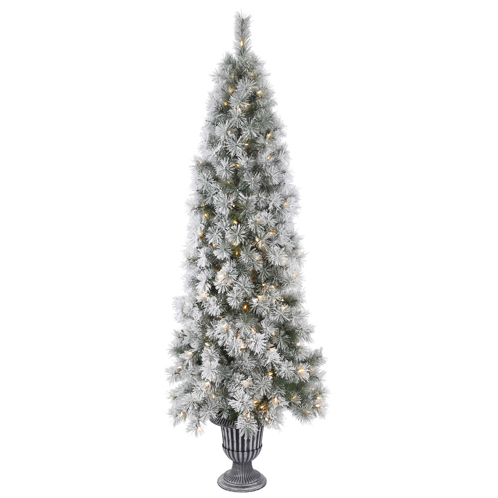 5.5 Foot Frosted Brewer Pine Artificial Potted Christmas Tree 150 Incandescent Clear Mini Lights