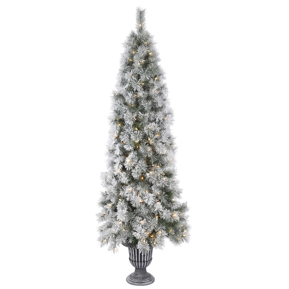 Christmastopia.com 5.5 Foot Frosted Brewer Pine Artificial Potted Christmas Tree 150 Incandescent Clear Mini Lights