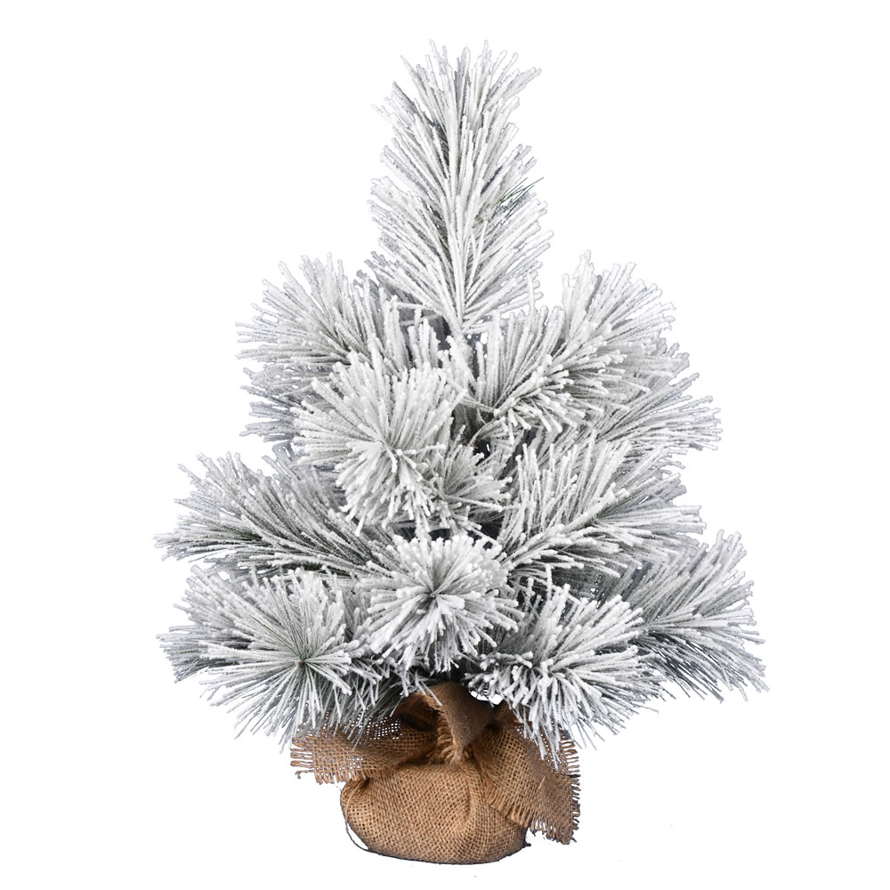 2 Foot Frosted Beckett Pine Tabletop Artificial Christmas Tree Unlit