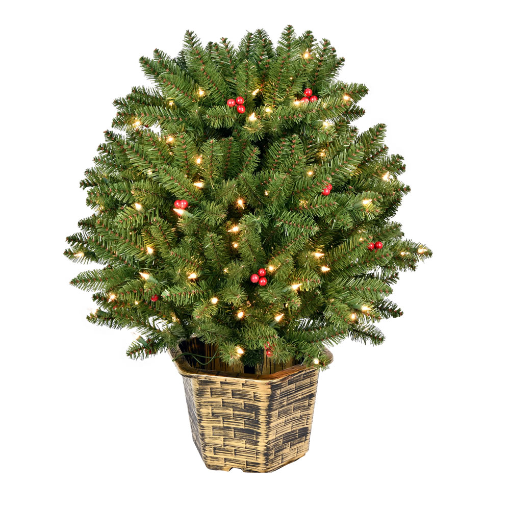 2.5 Foot Tifton Globe Artificial Potted Tree Unlit - 100 DuraLit Incandescent Clear Mini Lights