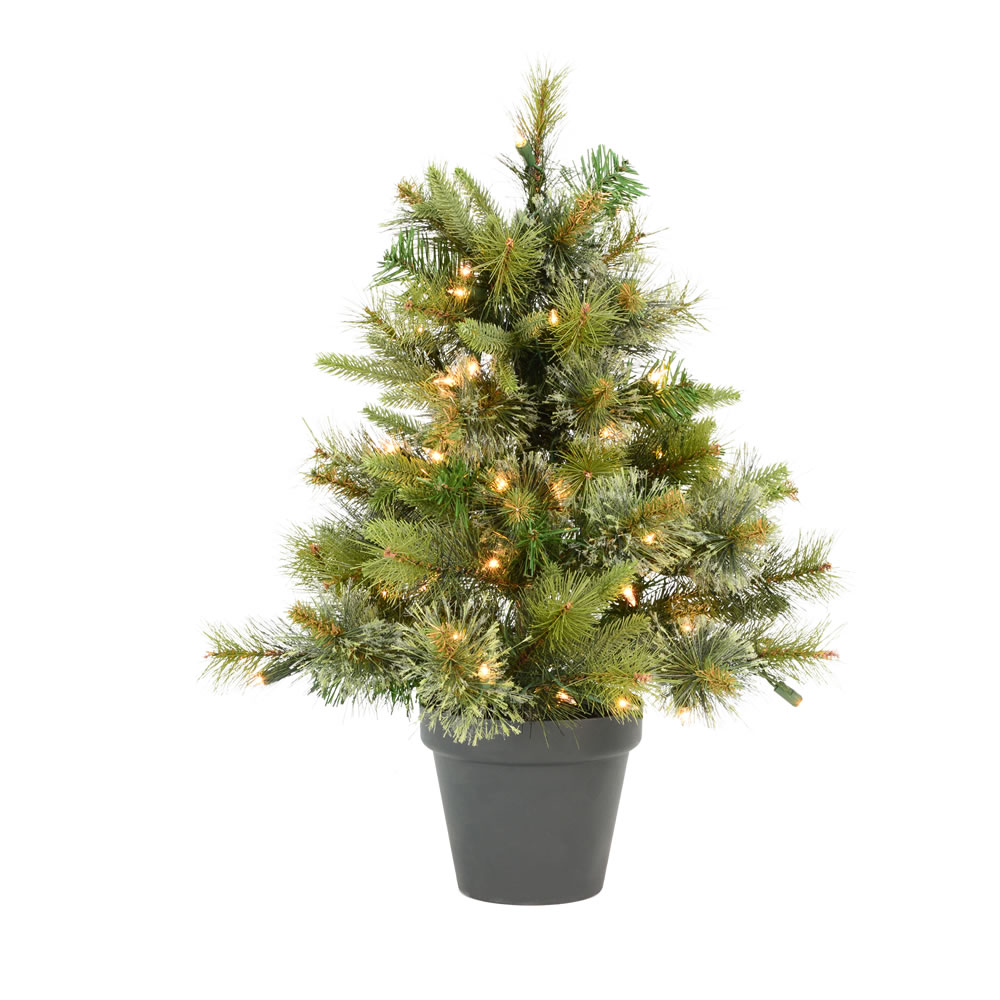 2 Foot Cashmere Pine Artificial Christmas Tree 50 LED M5 Italian Warm White Lights